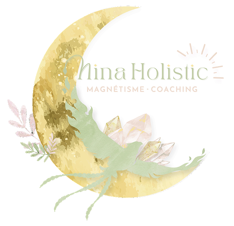 Nina holistic logo