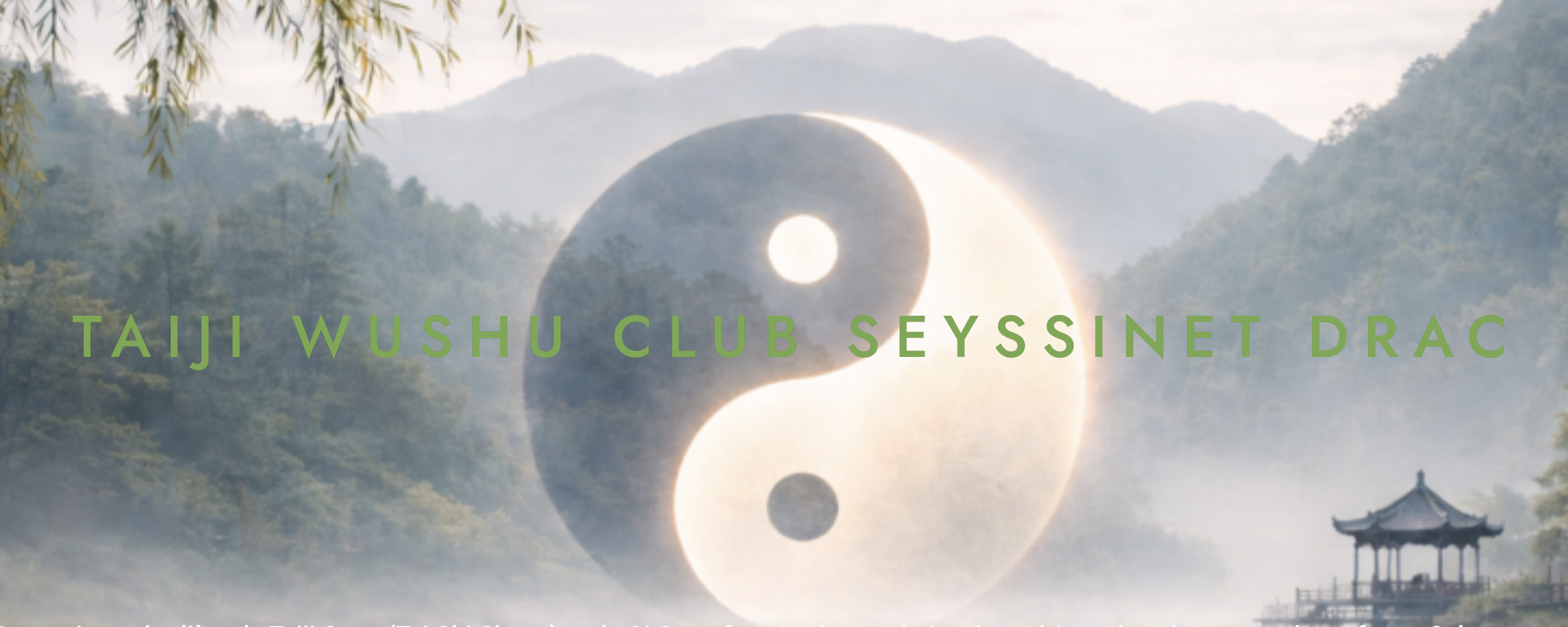 Taiji seyssinet